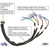 "Plug & Play" Rear Wiring Loom for Triumph Twins