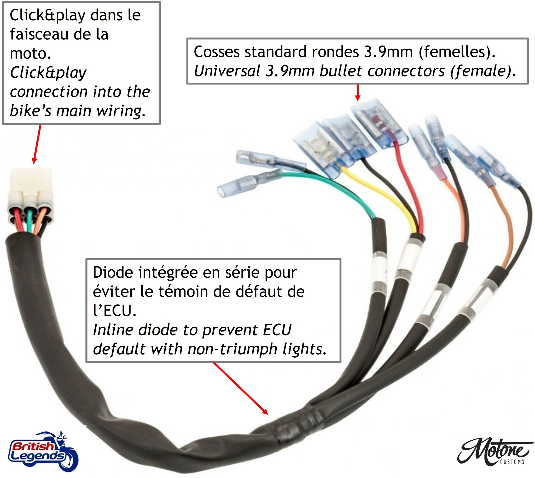 Faisceau Arrière "Plug & Play" pour Triumph Twins