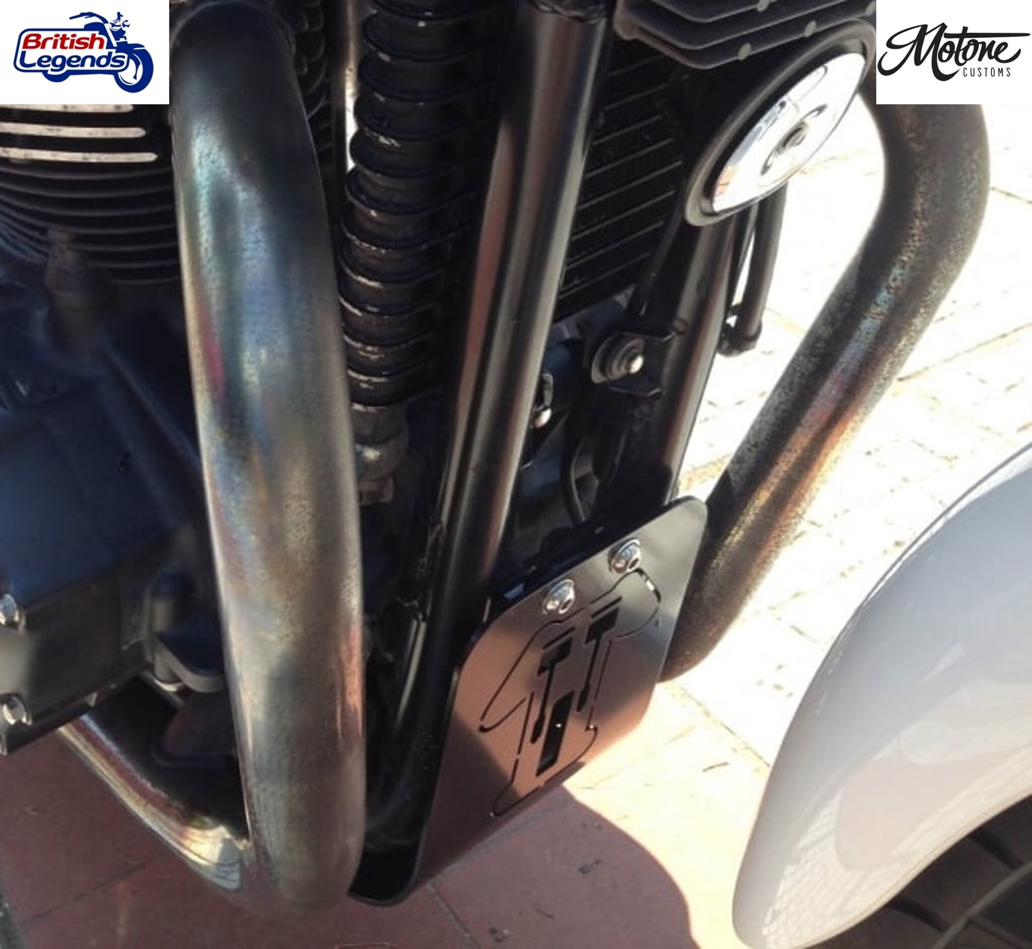 Protector de motor para Triumph Twins 790/865