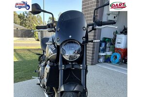 Flyscreen Trident 660