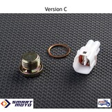 O2 Sensor Elimination for Triumph motorcycles