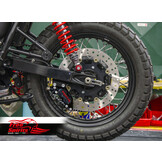 Brembo Rear Kit for Triumph Twins 2001-2016