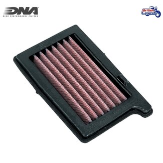 DNA DNA Filtro Tiger Sport