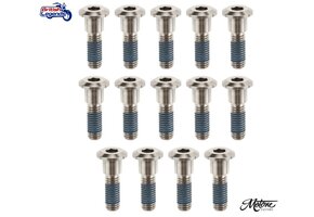 Tornillos de Discos Titanio