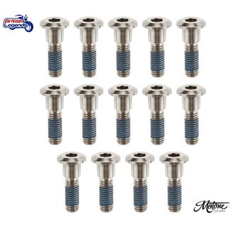 Motone Brake Disc Bolts Titanium