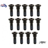 Set of Brake Disc Bolts milled from Solid Titanium