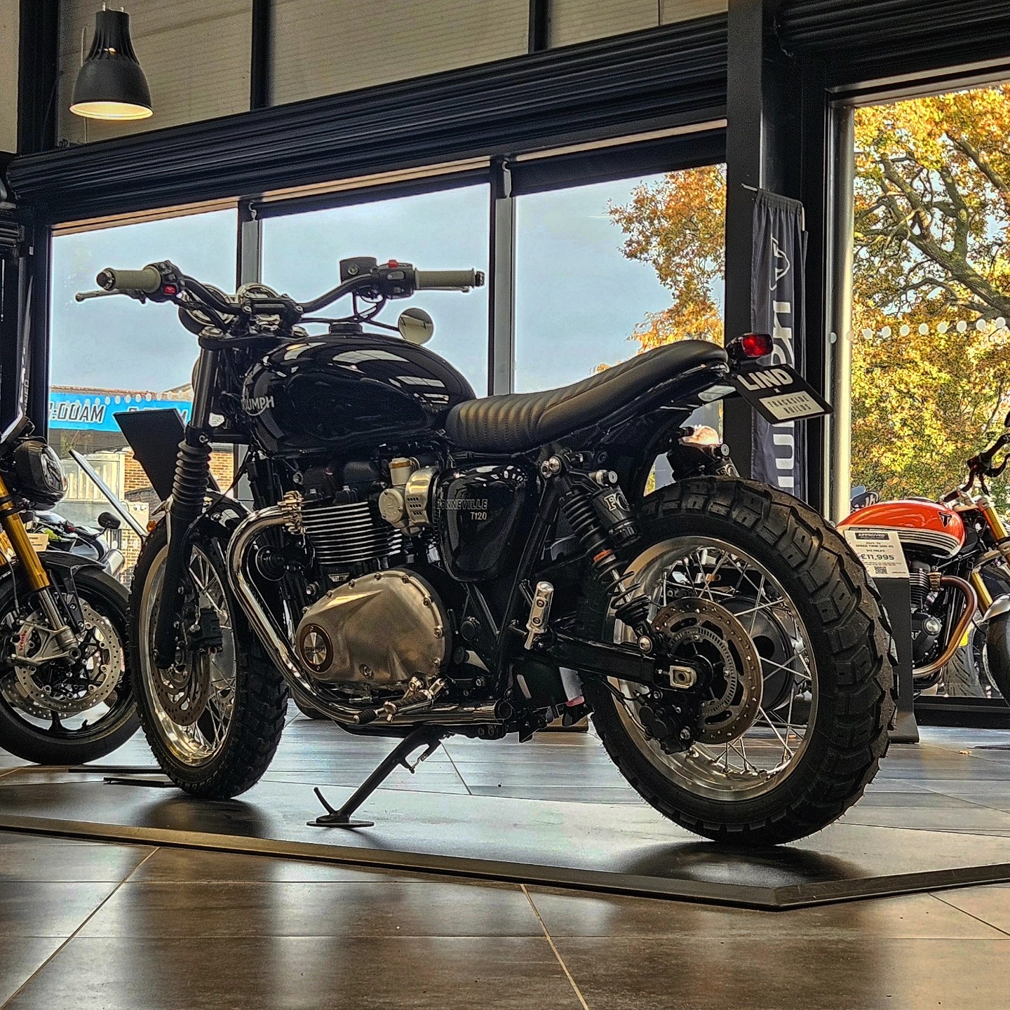 Complete "Cortado" Kit for a Short Rear Frame