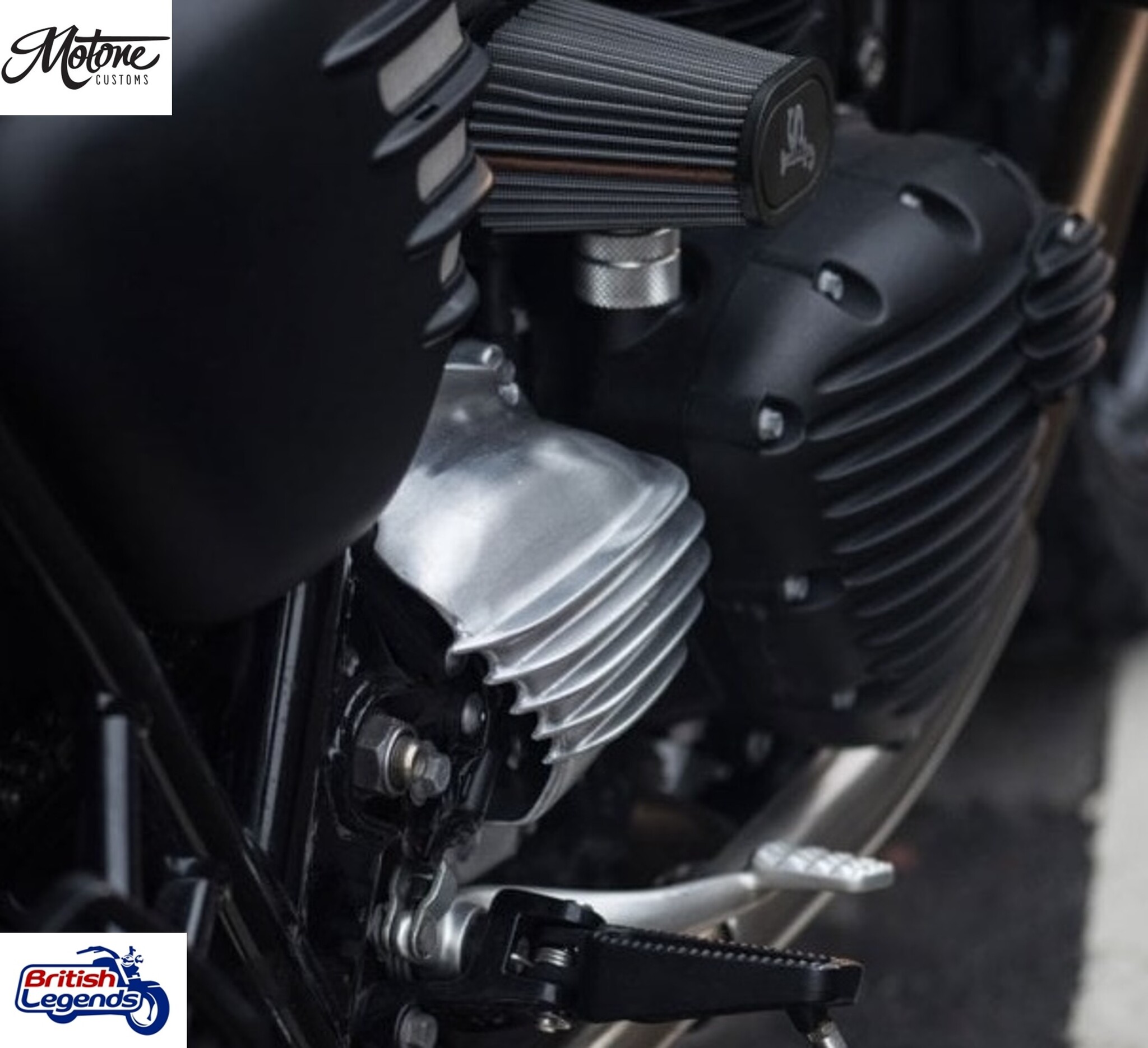 Protector de Piñón Streamliner para Triumph Twins