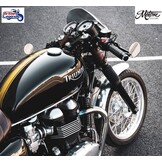 Guardabarros delantero para Triumph Twins