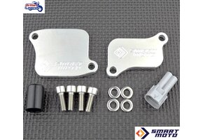 AIS Removal Triumph Triples