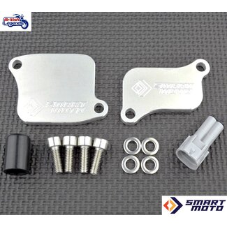 SmartMoto Suppression AIS Triumph Triples