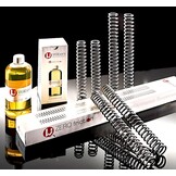 Ressorts Progressifs pour Thunderbird 1600/1700