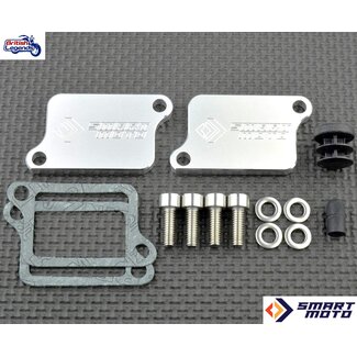 SmartMoto AIS Removal W650/W800