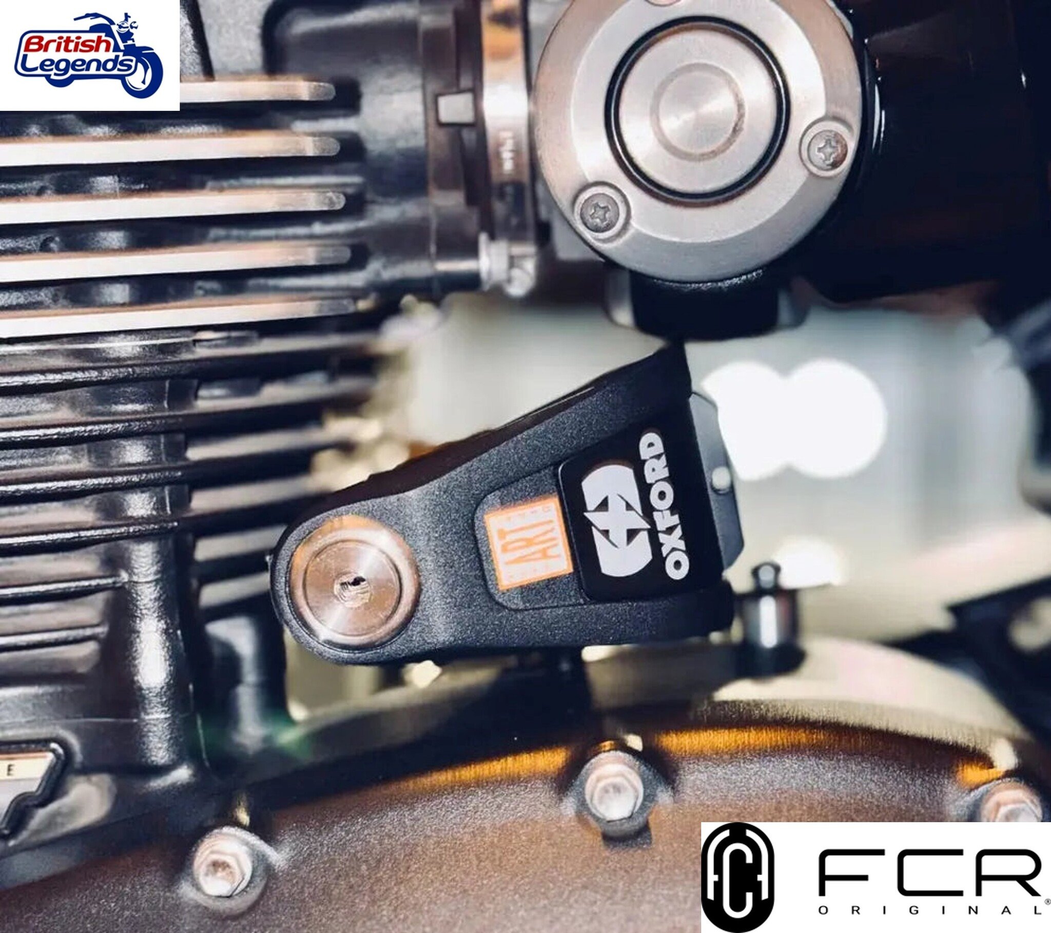 Support Bloque-Disque + Antivol pour Triumph Twins