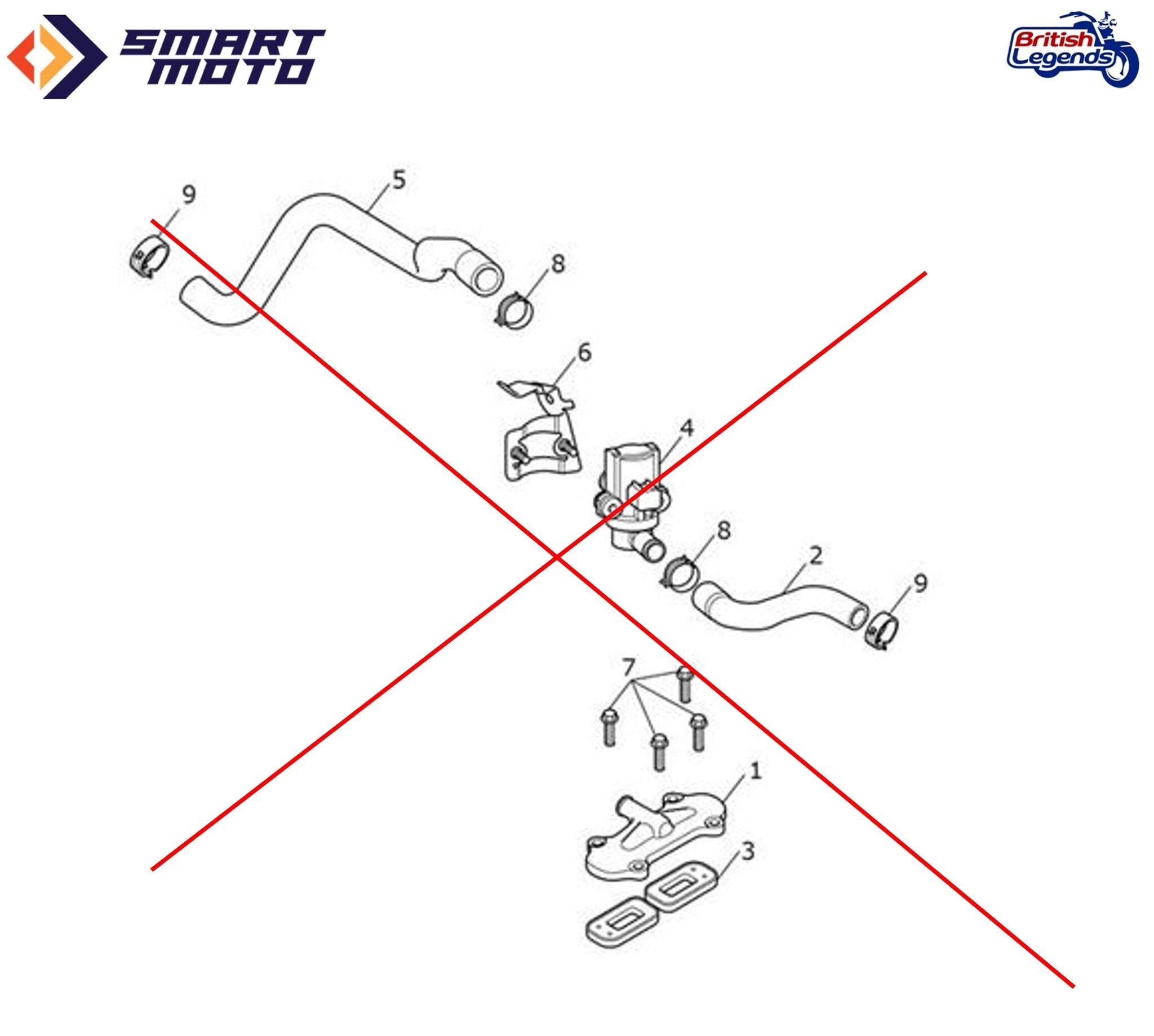 Air Injection Elimination Kit for Triumph Twins Euro5