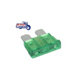 Replacement Fuses (sold per unit)