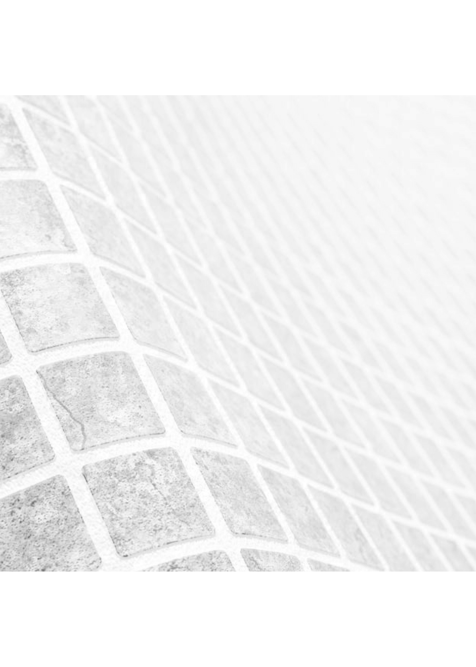 Renolit Pool foil Alkorplan 2000 - 205cm (51,25m²) - Copy - Copy - Copy - Copy - Copy - Copy - Copy - Copy - Copy - Copy - Copy - Copy - Copy - Copy - Copy