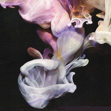 Simian Mobile Disco – Murmurations LP