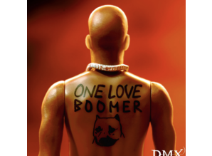 DMX 'Its Dark and Hell is Hot' ReAction Figure van Super 7
