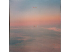 Radiate Like This LP van Warpaint