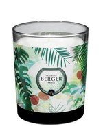 Lampe Berger Geurkaars Litchi Paradis