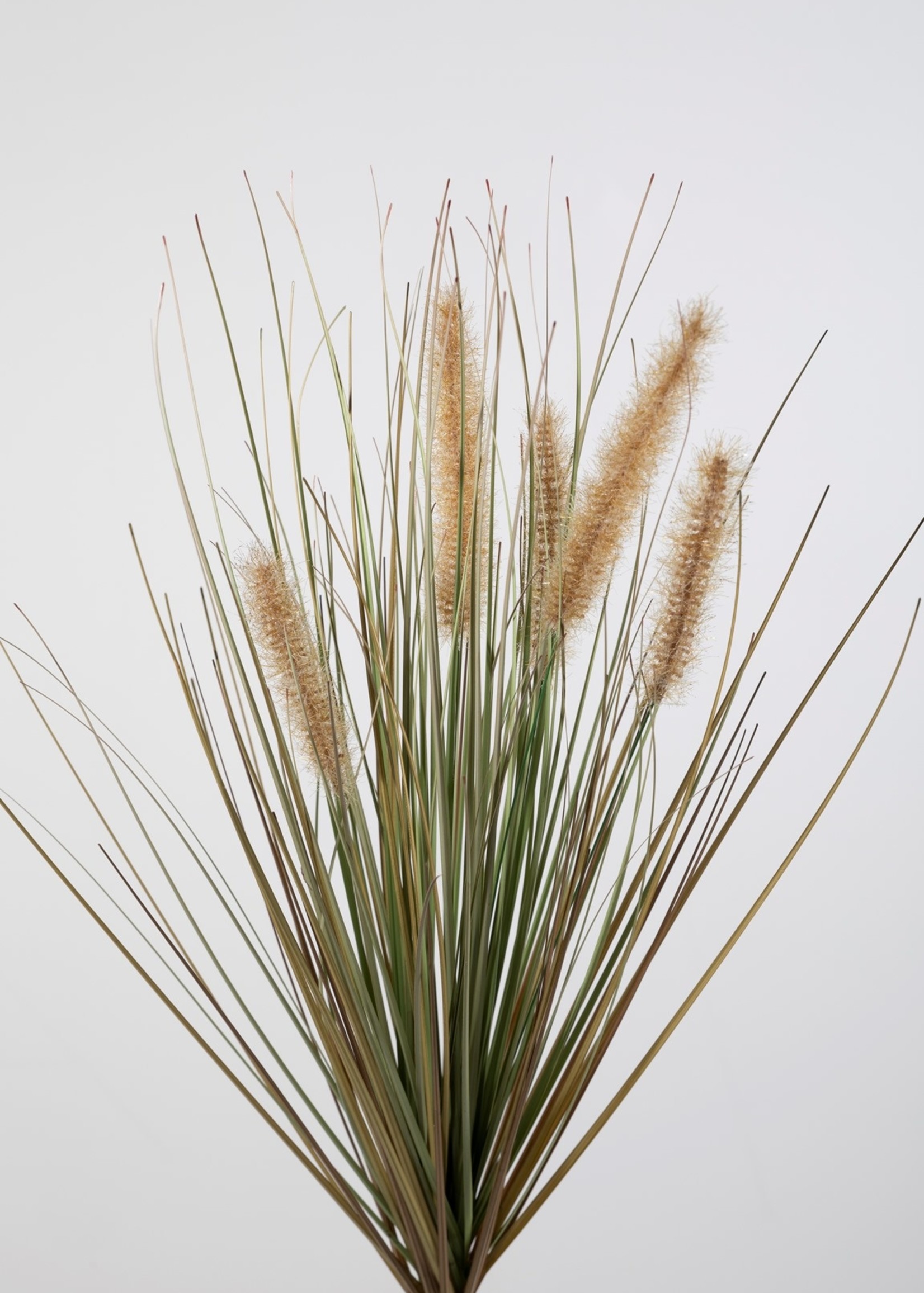 Zijden bloemen Zijden pampusgras