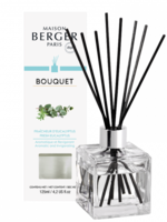 Parfum de Berger Parfumverspreider Cube Fraîcheur d'Eucalyptus