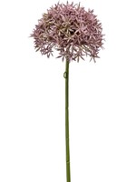 Zijden bloemen Allium bol