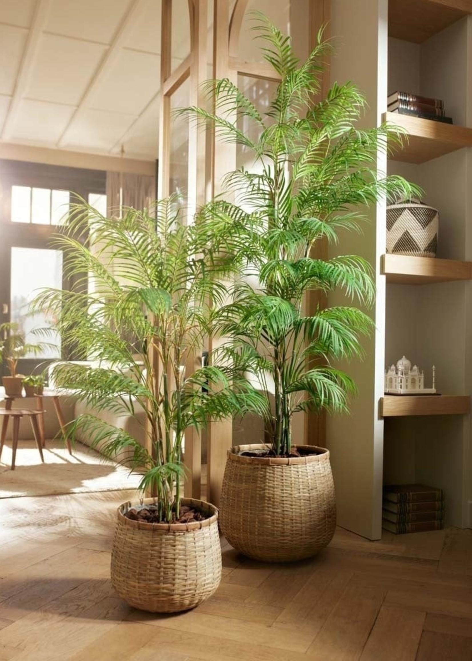 Zijden planten Chamaedorea zijden palm - 120cm