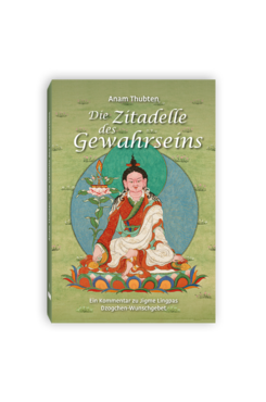 Die Zitadelle des Gewahrseins