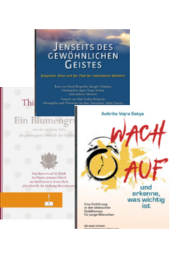 DREI Bücher-Bundle