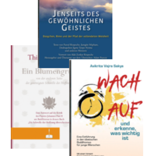 DREI Bücher-Bundle
