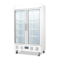 Bar Cooling for Bottles 952 Liters | 2 Hinged Doors