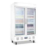 Bar Cooling for Bottles 952 Liter | 2 Swing doors