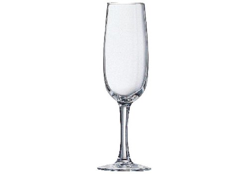  Arcoroc Elisa Champagnergläser 16cl | 24 Stück 