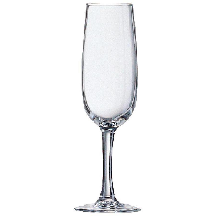 Flûtes à Champagne Elisa 16cl | 24 pièces