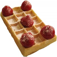 Einzelnes Brüsseler Waffeleisen Öko