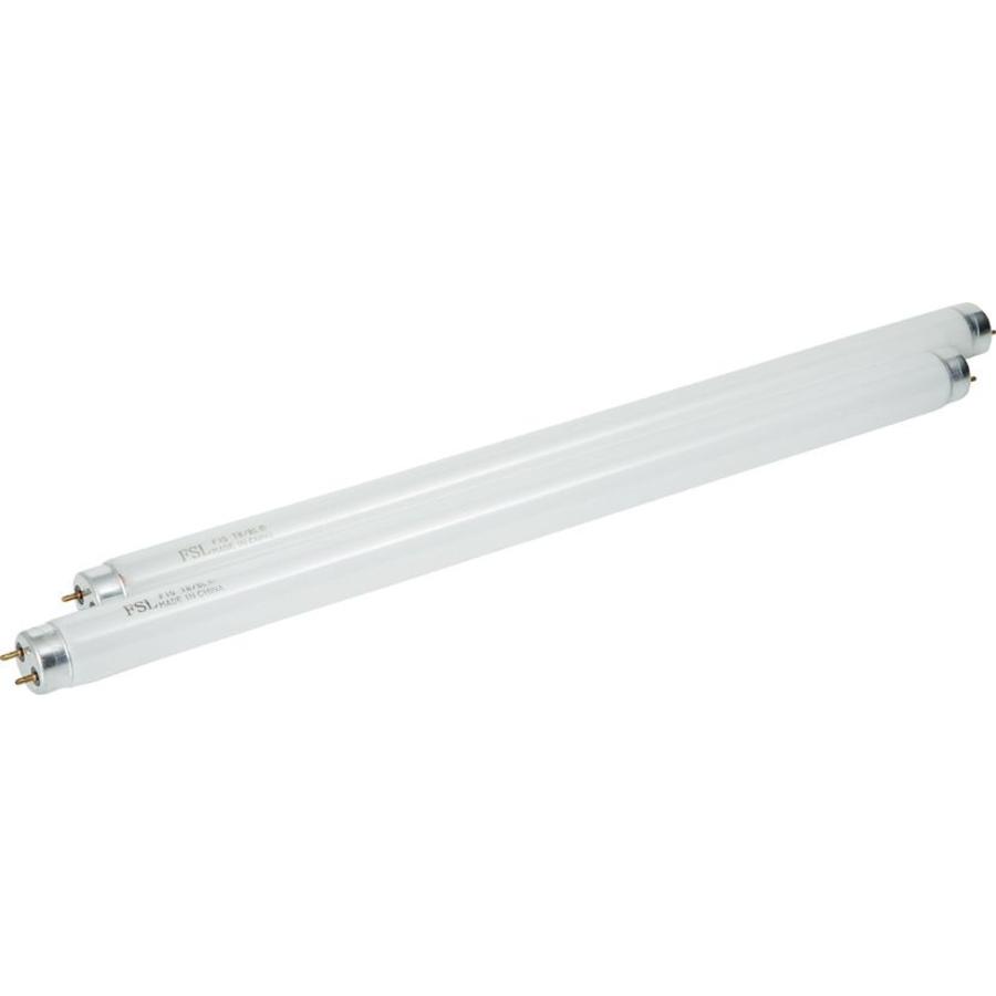 Attrape-insectes avec plaque adhésive | 100 m2