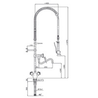 Pre-rinse shower with mixer tap