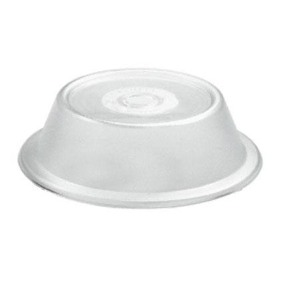 Couvercle de plaque satiné - Polycarbonate | 2 formats