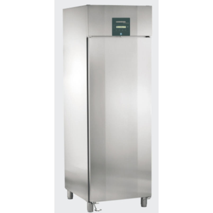 GGPv 6590 freezer 465 liters | 2/1GN