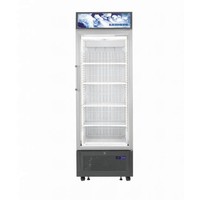 FDv 4643 Display Freezer Catering | 460 Liters