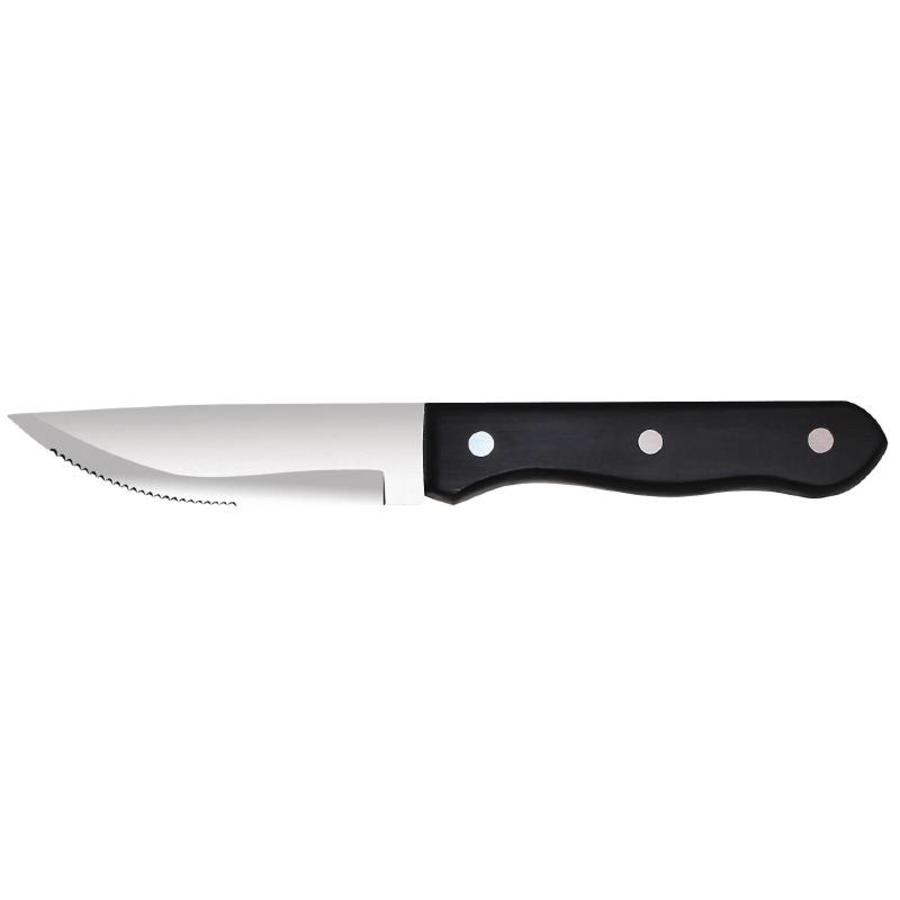 Couteau à steak 25 cm | 12 pièces