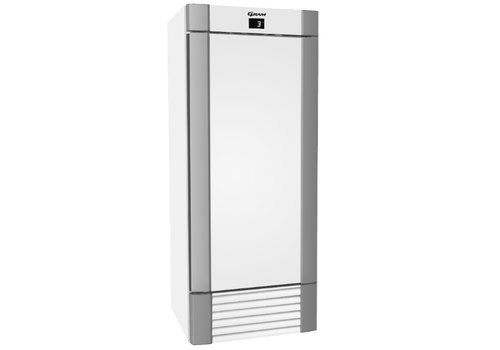  Gram Réfrigérateur de stockage Gram en acier inoxydable avec fonctionnement à sec blanc | 603 litres 