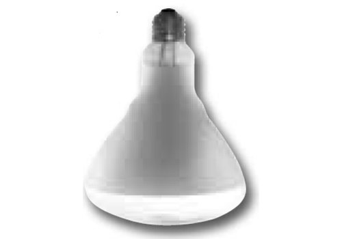  HorecaTraders Lampe chauffante - 250 Watt | Incassable 