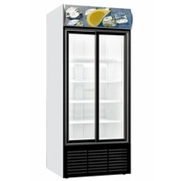 Kühlschrank mit Glasschiebetüren | 1103 (B) x 689 (T) x 2000 (H) mm