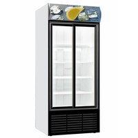 Refrigerator with sliding glass doors | 1103(w) x 689(d) x 2000(h)mm