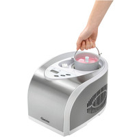 Ice machine| 290mm (w) x 390mm(d) x 315mm(h) | Stainless steel