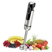 Mixeur plongeant | Complet 700 watts | Acier inoxydable