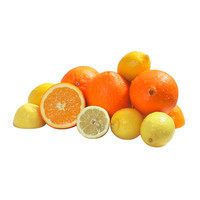 Electric Fruit Juicer | 3 Cones
